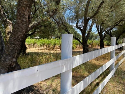 Fencing
