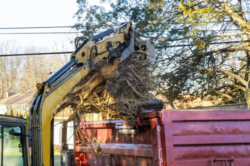 A Tree Just Landed on Your House. Here's the Order to Do Things In.